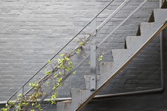 prix escalier béton