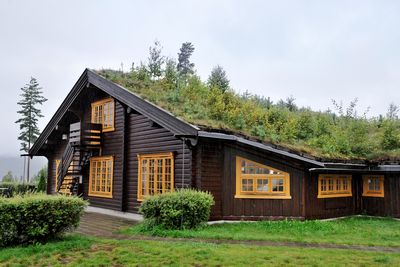 Chantier de une toiture végétalisée