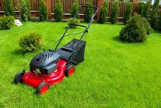 Comment choisir une tondeuse à gazon ? : conseils et prix des travaux